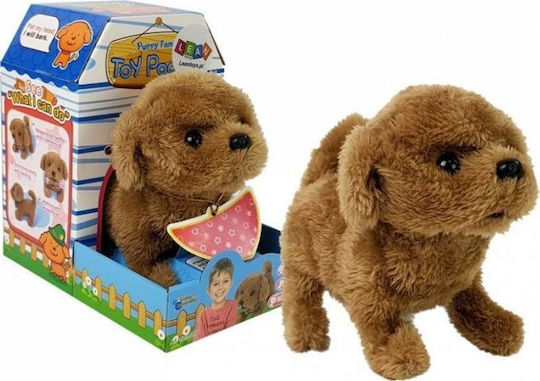 Lean Toys Interactive Toy for 3+ Years