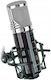 Marantz Kurzweil KM2U Mikrofon USB Stoßmontiert Für Vokal