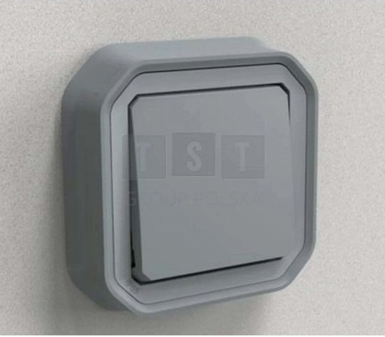 Legrand Plexo Recessed Wall Switch Two-Way with Frame Aller Retour Grey