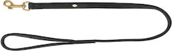 Trixie Dog Leash Leather Leash in Black Colour
