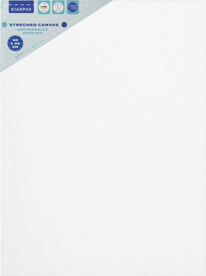 Starpak Leinwand Malerei 30x40 Stück Fol 20/40