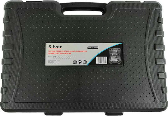 Silber Deutsche Polygon-Schlüssel Set 22 Stück Exsk-022-02