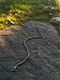 SteweHome SteweHome Kette Hand aus Rostfreiem Stahl