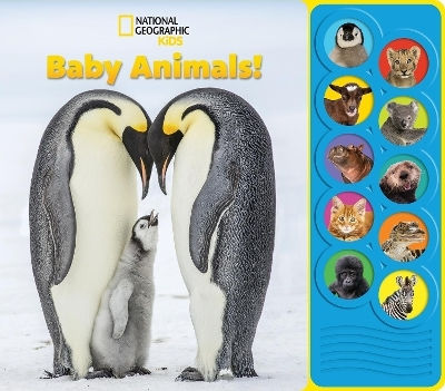 Kids Baby Animals Sound Book Pi Kids Pi Kids