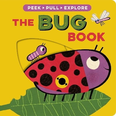 The Bug Book Becky Davies