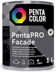 Pentacolor 1lt Balt