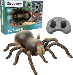 Discovery Радиоуправляема Тарантула Играчка Discovery Радиоуправляема Тарантула Играчка
