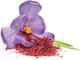 Herbstore Saffron Organic Product 0.5gr