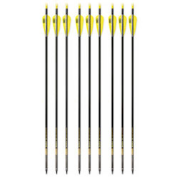 Set 9 Săgeți Arc Compus 6.2 Mm Tub Fibra De Carbon Spine 300 Lungime 32 Inch 27 Gr Săgeată Pandarus