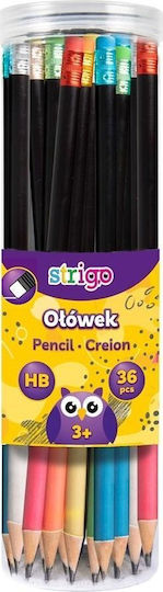 Strigo Strigo 36 Bleistifte HB Mit Radiergummi Schwarz