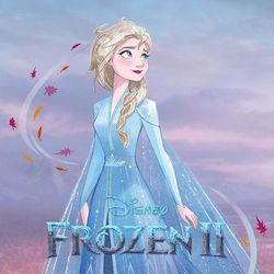 Παιδικό Μαγικό Πετσετάκι 30x30 Dimcol Frozen 81...