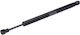Gas Spring Trunk Cover Audi A4 Avant A4 8k5827919