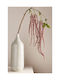 Amaranth Hanging Branch Lilac Flowers 0x0x114cm Monochrome Evergreens