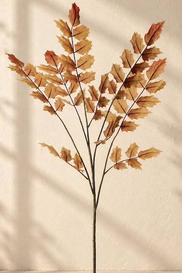 Mahonia Branch Brown Foliage 0x0x106cm Monochrome Evergreens