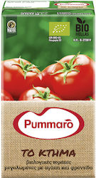 Organic Lightly Concentrated Tomato Juice Bio Ktima Pummaro 250 g