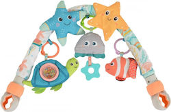 Cangaroo Animal for Newborns