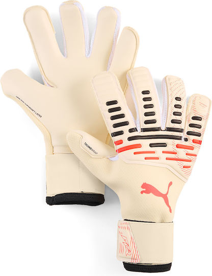 PUMA Future Pro Hybrid Torwarthandschuhe Erwachsene Blau