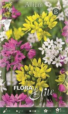 Flora Elite Βολβoί