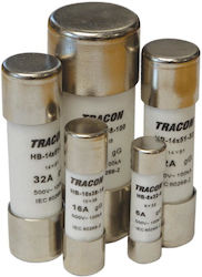 Cylindrical Fuse Hbm 10x38 32a Am