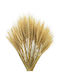 Set 50 Buchete De Grâu Uscat Natural Decorațiuni Buchete De Flori Uscate Stil Boem Rustic Plante Naturale Decorațiuni Nuntă Mese Festive Decor Interior Casă