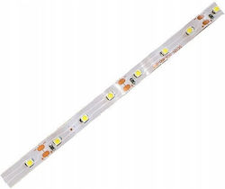 Eco Light Ταινία LED 12V Φυσικό Λευκό 5m Eco Light Ταινία LED 12V Φυσικό Λευκό 5m