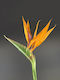 Künstliche Orange Strelicia Dekoratives 92cm