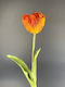 Künstliche Tulpe Orange Dekorative 40cm