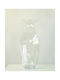 Decorative Floor Glass Transparent Vase 22xH50cm