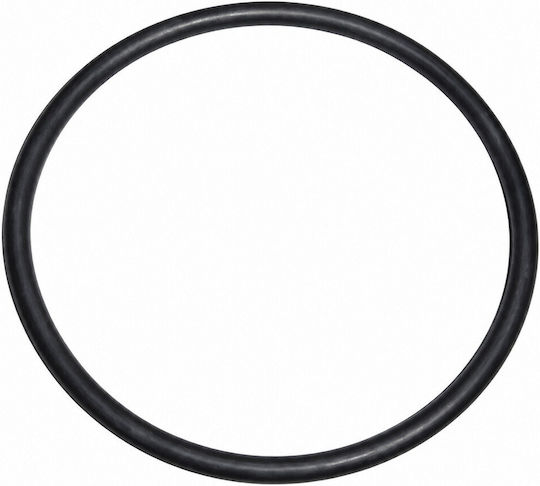 O-Ring EPDM Резервоар Клетка Система Хлоринатор Вода Басейн