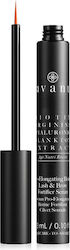 Avant Pro-Elongating Biotin Moisturizing Serum for Eyebrows & Eyelashes with Hyaluronic Acid 3ml Avant Pro-Elongating Biotin Moisturizing Serum for Eyebrows & Eyelashes with Hyaluronic Acid 3ml