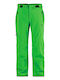 Scott Dryo 239959 Pantaloni De Schi Și Snowboard Pentru Bărbați Verde