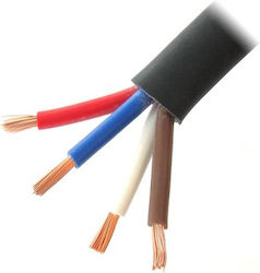 Power Dynamics Connex Ατερμάτιστο 100m Power Dynamics Connex Ατερμάτιστο 100m