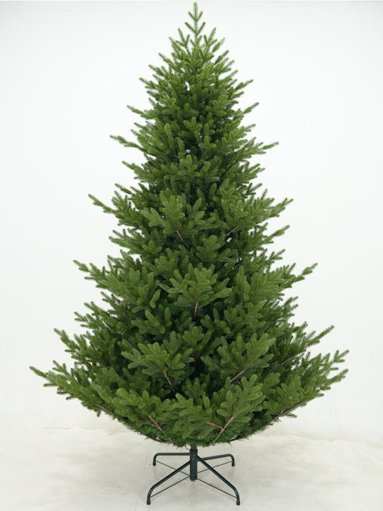 Brad Starley Spruce Brad Starley Spruce