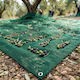 Kraft World Olive Sail from HDPE 6x12m Density 95gr/m²