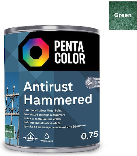 Pentacolor Korrosionsinhibitor Lösung 0.75l Grün Geschmiedet