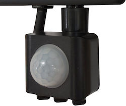 Wellmax LED Flood Light 10W Waterproof 4000K Wellmax LED Flood Light 10W Waterproof 4000K