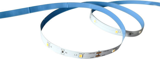 Avide LED-Streifen 12V Warmes Weiß Licht 3m SMD2835 Typ