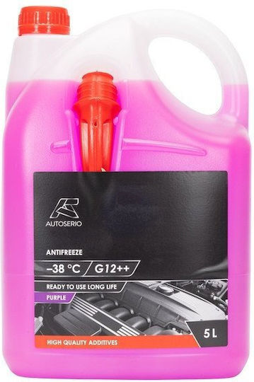Auto Motorkühlmittel Paraflu Kühler Auto G12++ -30°C 5lt