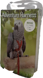 Parrot Leash Petite
