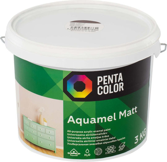 Pentacolor Acryl 3lt Braune Matt Farbe