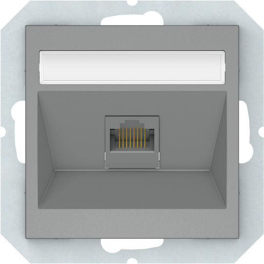 Einzeln Netzwerksteckdose RJ45 in Grau Farbe