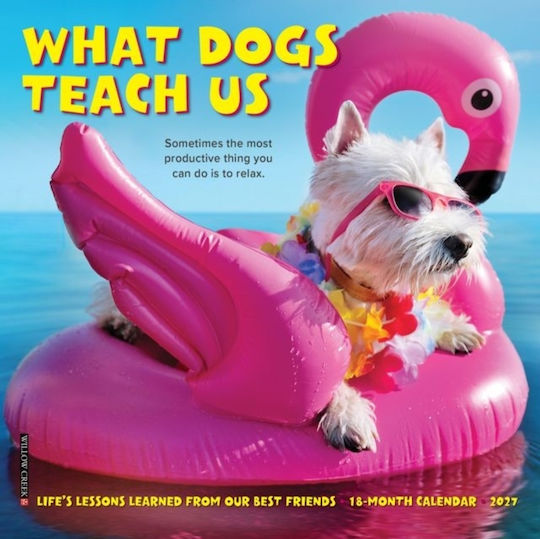 What Dogs Teach Us 2027 Mini - Willow Creek Press - Paperback