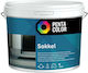 Pentacolor Plastic Watercolor for Exterior Use Facade Paint Pentacolor Sokkel C 3lt