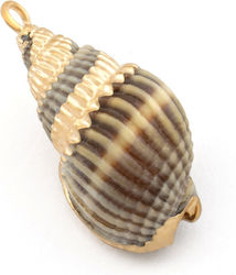 Natural Seashell Gold Details 19x11mm White