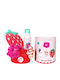 Inuwet Set Căpșuni Spumă de Duș Curățare și Hidratare 200 Ml + Elastic de Păr Scrunchy + Burete de Corp Căpșuni + Autocolant Cadou Căpșuni