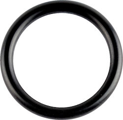 O-δακτύλιος Στροφαλοφόρου Άξονα Wsm Performace Parts 008-600-07
