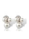 Earrings Platinum Plated Silver 925° Code Shk002290