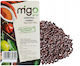MIGOgroup Σιναπόσπορος 500gr