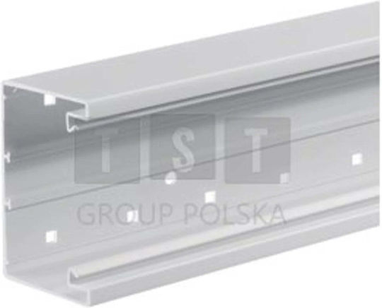Hager Brp6510019016 Tehalit.brp Bază Canale De Cablu Pvc 65x100 Albă 2m