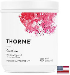 Thorne Монохидрат 5000mg Вкус ягода 375gr Thorne Монохидрат 5000mg Вкус ягода 375gr